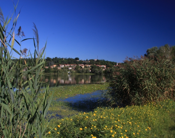 Pista ciclabile del Lago di Comabbio - Gite in Lombardia