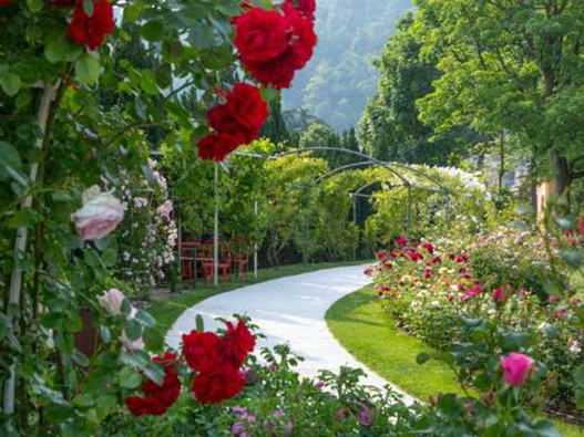 Roseto della Pace - Parchi e giardini di Varese
