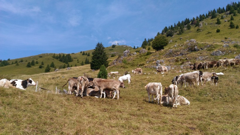 parafulmine_3